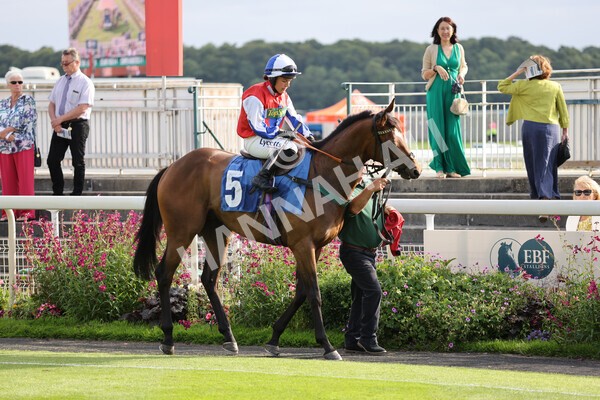 yr23072021r1-8 - Race 1 6.00pm John Wright Electrical Silk Series Lady Riders Handicap