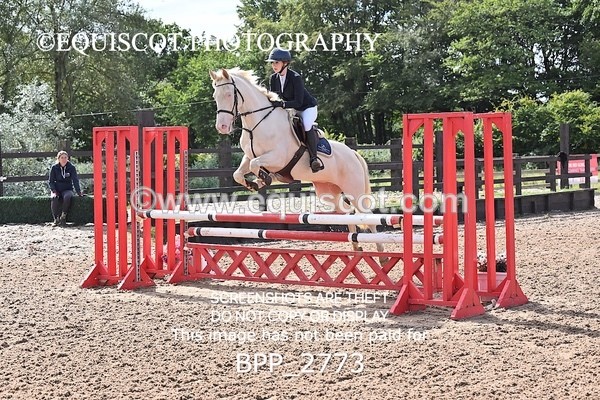 BPP_2773 - CLASS 14 SAT Senior British Novice/ 90cm Open