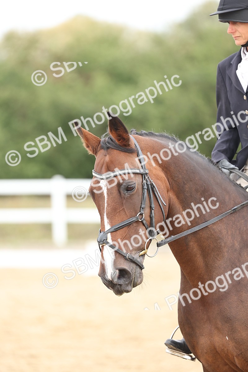 SBM_002666 - Class 7 - Novice 2 Warm Up