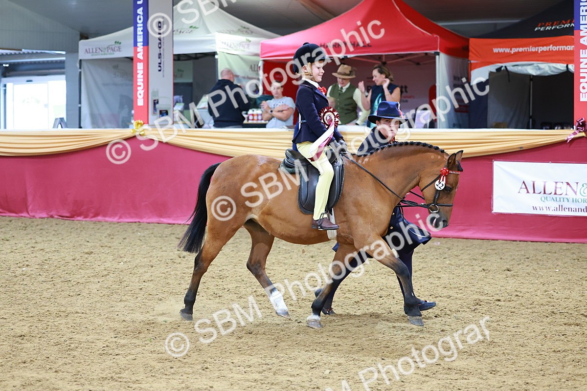 SBM_06437 - Regional Ridden Championship