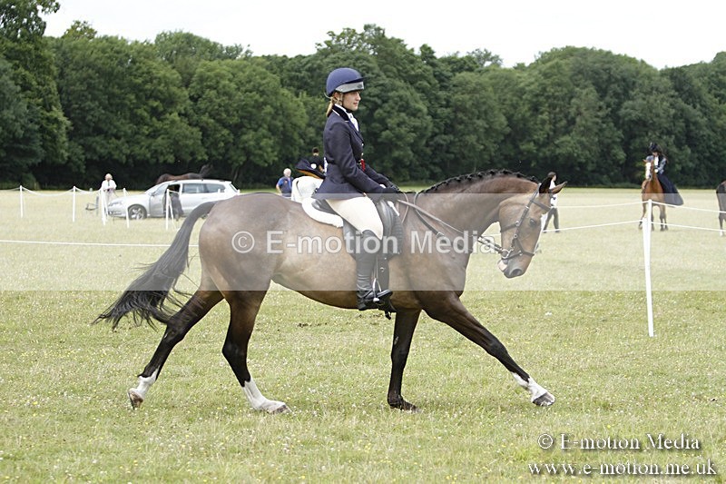 BVR160717-2297 - Working Hunter Championship 16/07/17