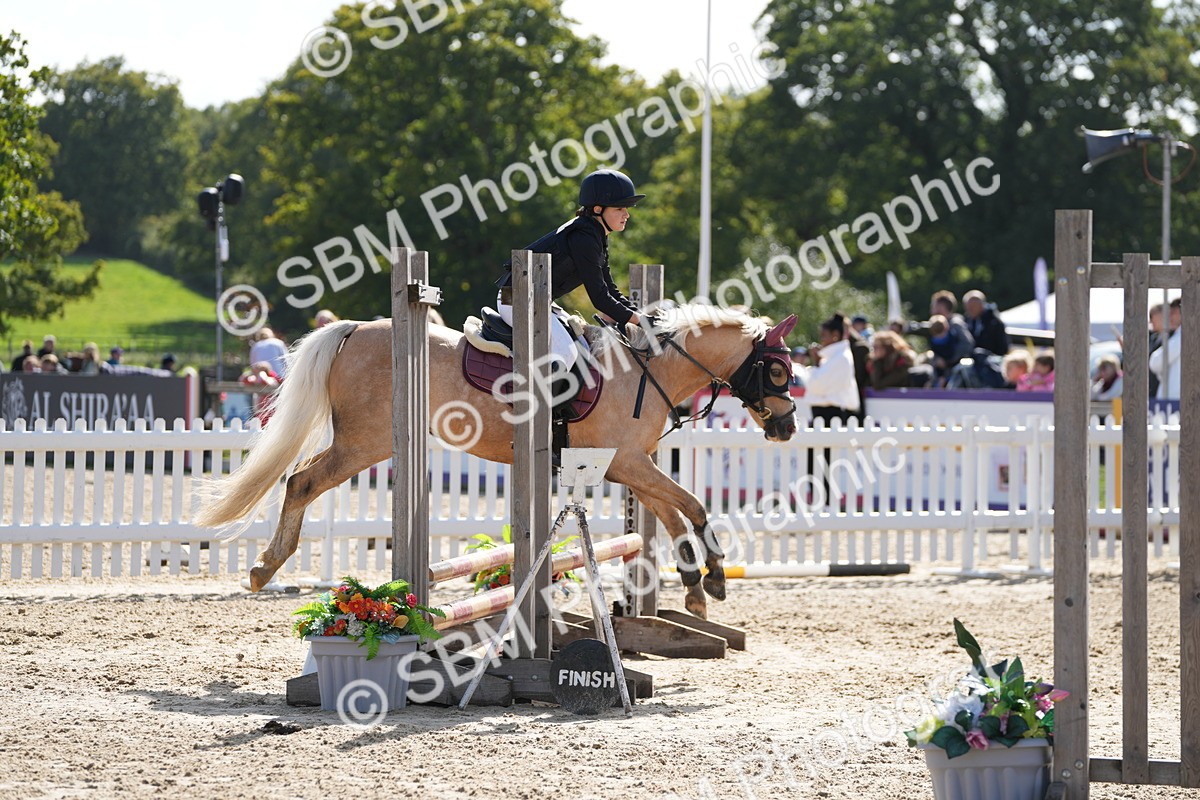 SBM_46670 - J7 - Junior Pony 60cm Championship