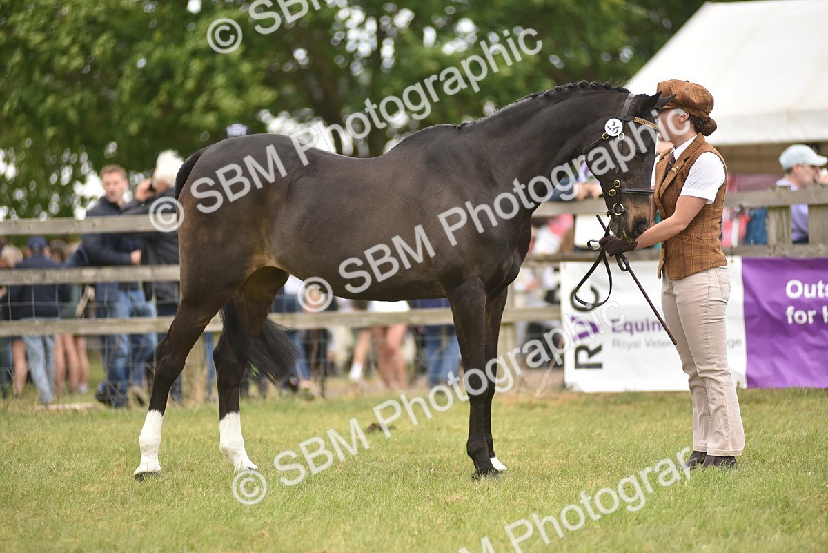 SBM_15809 - Class 115-116 - SSADL Home Produced Members Qualifier