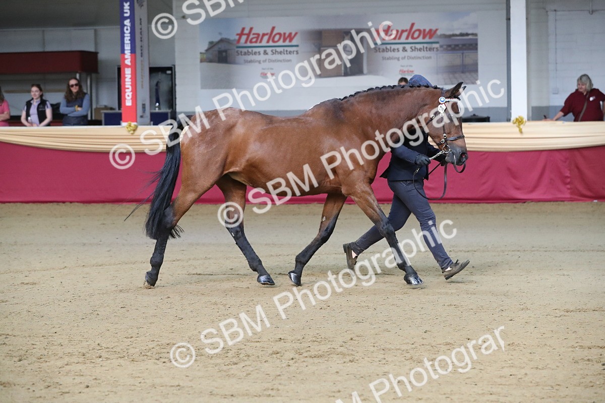 SBM_00297 - Class 1a - Area IH Diamond