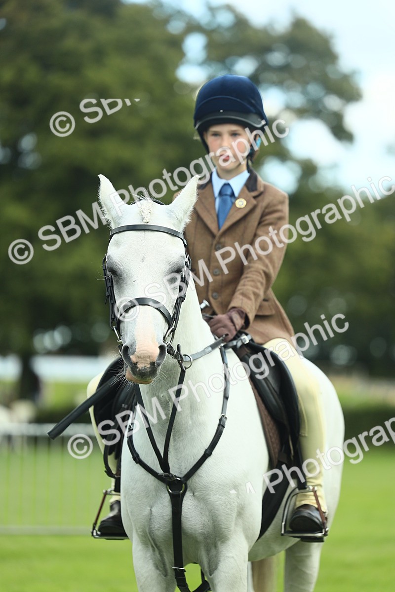 SBM_42166 - S29 - Novice & Newcomers Working Hunter Pony