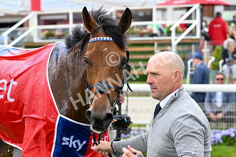 130626-Race 3-Gregory-1168 - Race 3 15.00pm Sky Bet Race To The Ebor Grand Cup Stakes