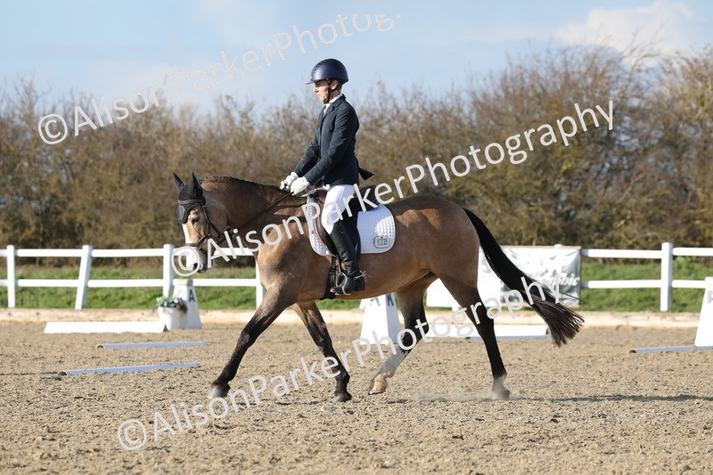 20260314-5872 - DR8 - Elementary 2