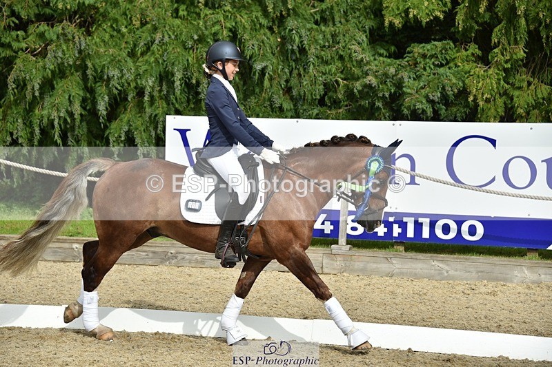 230812-160936-05452 - Novice Bronze Presentations