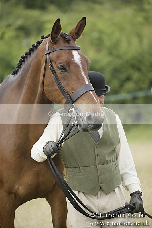 B230619-0269 - Bourne Valley Riding Club Summer Show 23/06/19