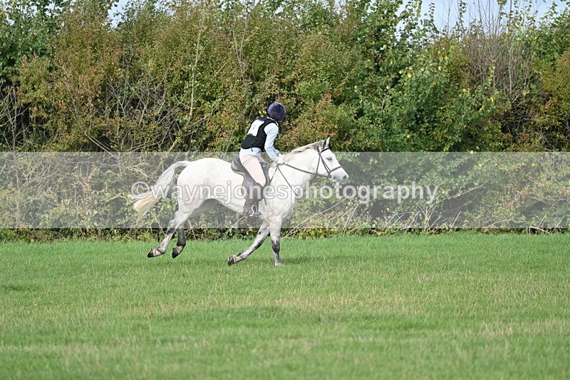 WJ7_8418 - 60cm Pairs