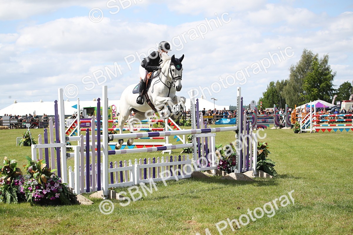 SBM_17377 - Class 208 - Senior Foxhunter 1.20m Open