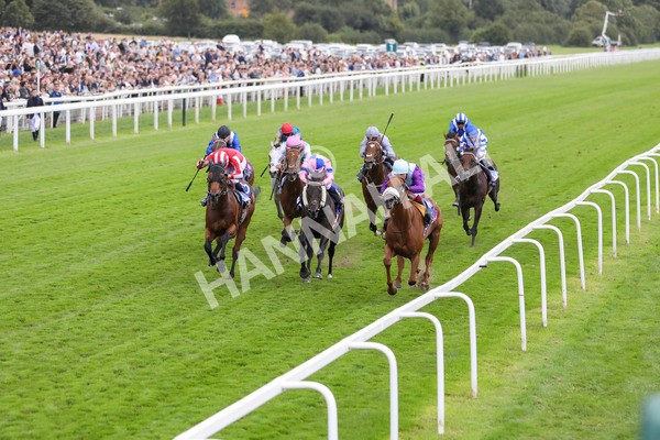 240824-Race 1-See The Fire-8875 - Race 1 1.50pm Sky Bet Strensall Stakes