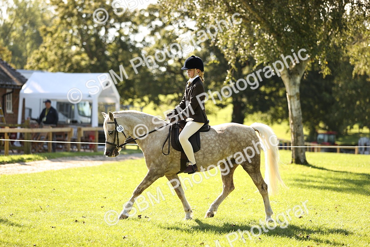 SBM_19084 - S3 - TSR Ridden Pony Showing
