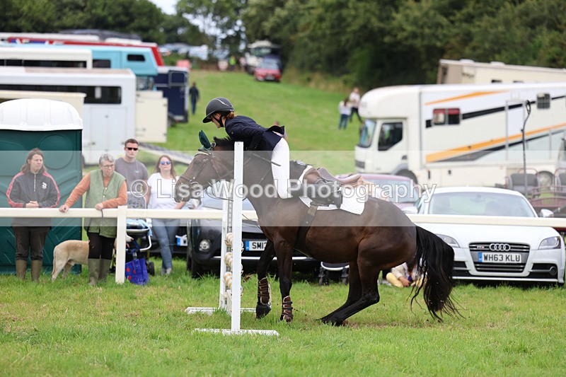 3E7A7011 - Class 5: Senior British Novice/90cm open