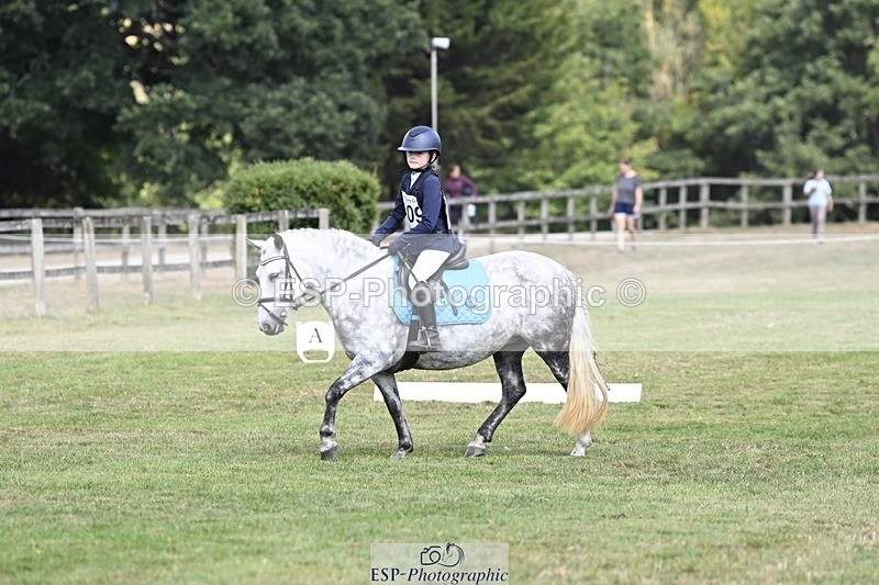 250821A-115600-15379 - DR 11.00 to 12.00