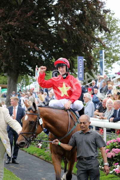 yr19082022r4-99 - Race 4 3.35pm Coolmore Wootton Bassett Nunthorpe Stakes (British Champion Series Race)