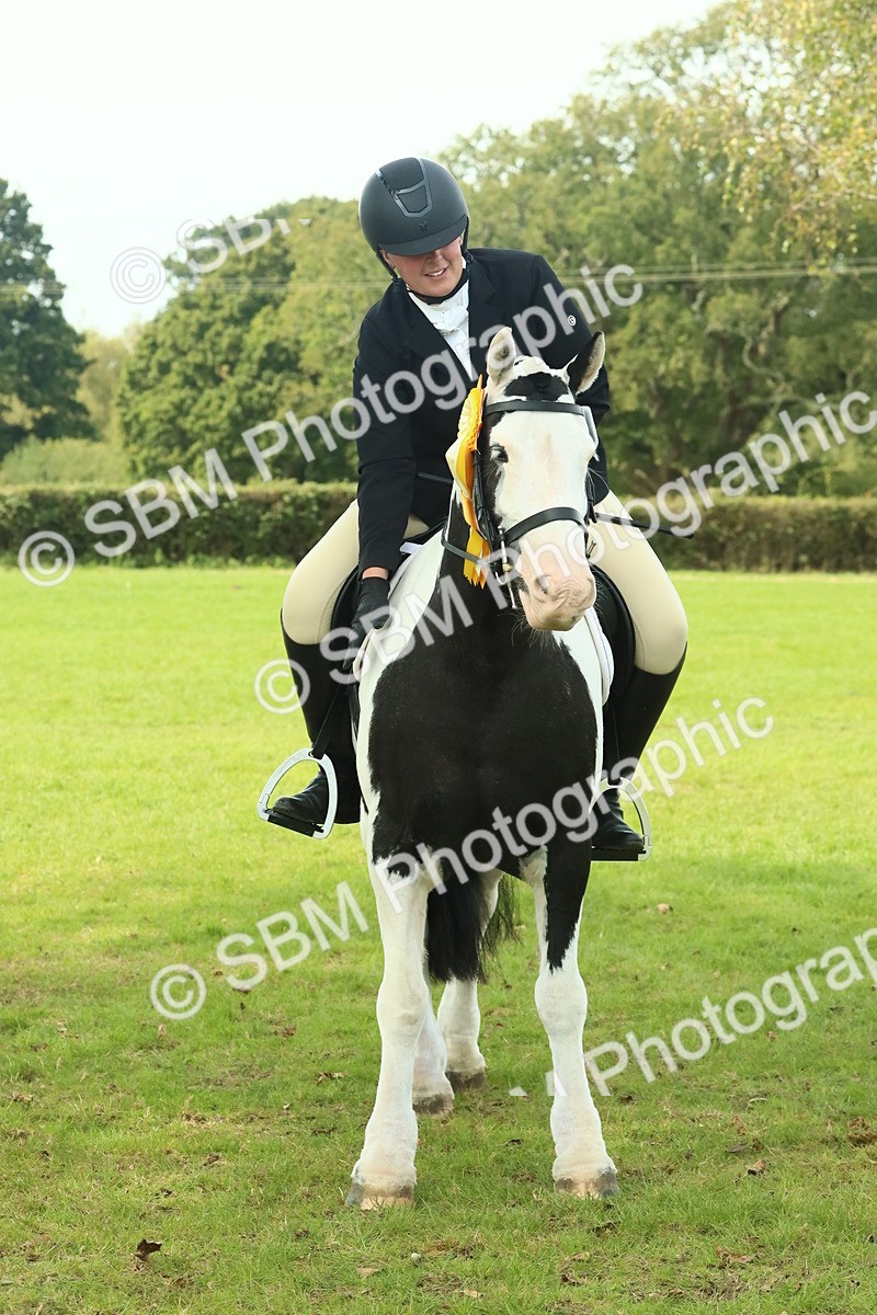 SBM_66793 - S34 - Rehabilitated Rescue Horse & Pony In Hand & Ridden