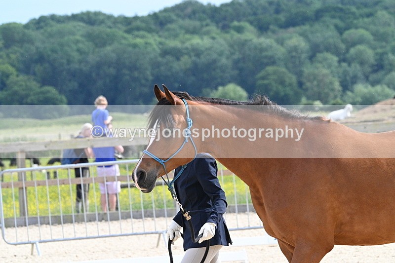 WJ7_8217 - Time 16:10 to 16:25