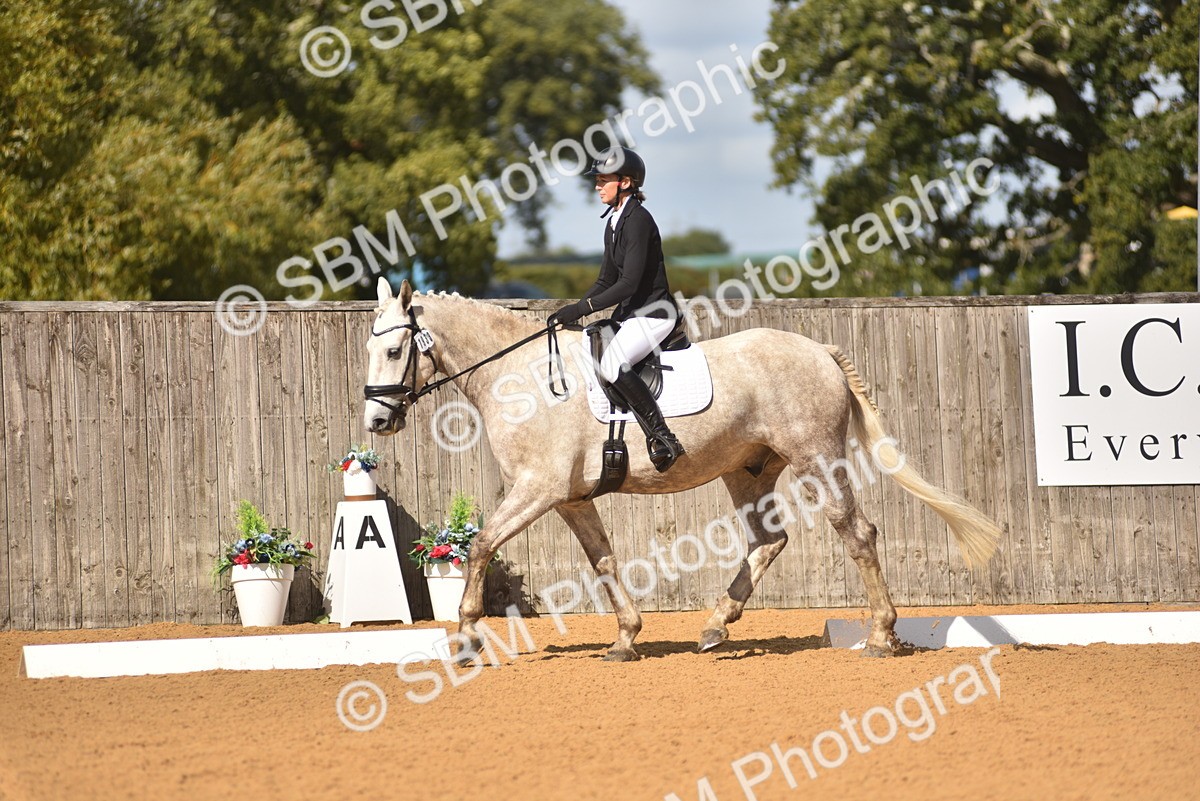 SBM_03090 - D4 - Small Tour Championship Intro 4