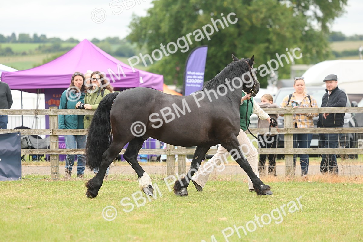 SBM_04867 - Class 50-57 - M&M Welsh Pony In Hand