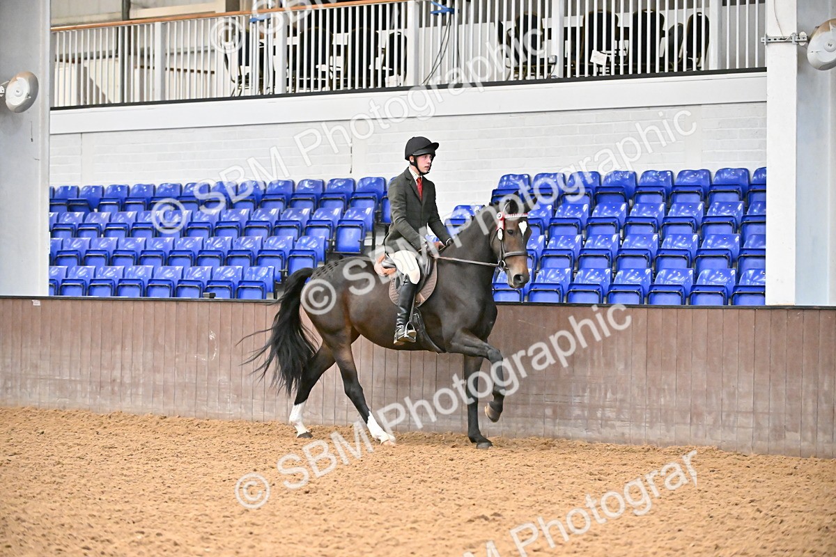 SBM_002341 - Class 22 - BSHA Ridden Hack & Riding Horse