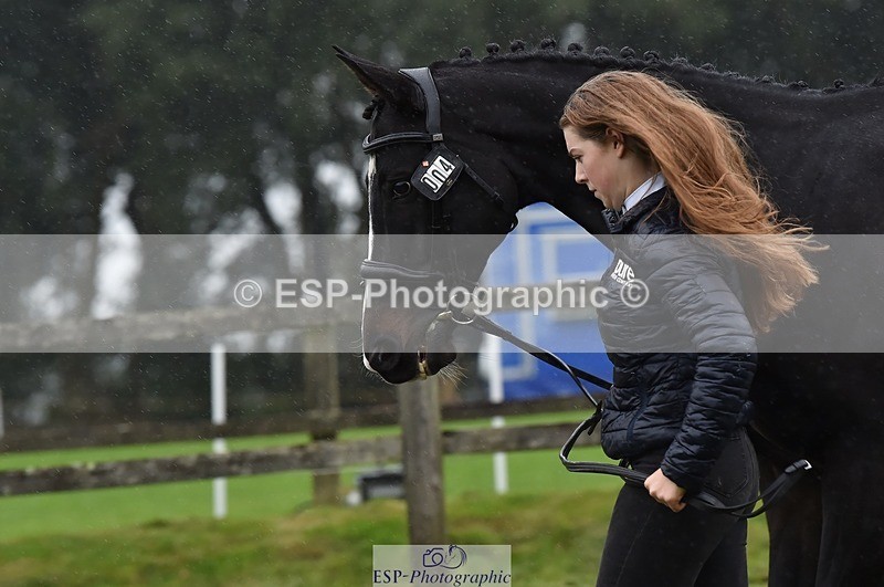 231018-120102-00037 - 004-CARTOON.HERO-Sophie.Wildern-TrotUp