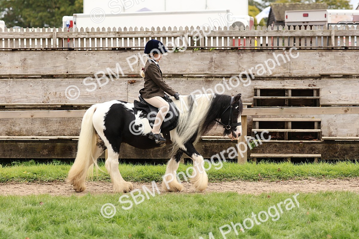 SBM_64376 - S58 - Coloured Pony Ridden