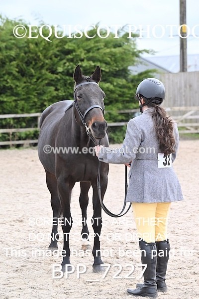 BPP_7227 - RING 1  (RIDDEN HORSES / IN HAND / VETERAN ETC)