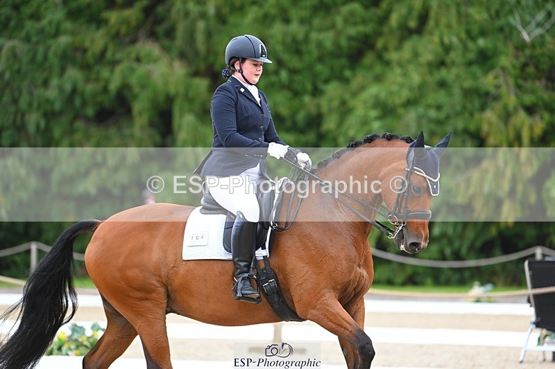 230813-132525-07559 - Cls 13 Medium Bronze 13.15 to End