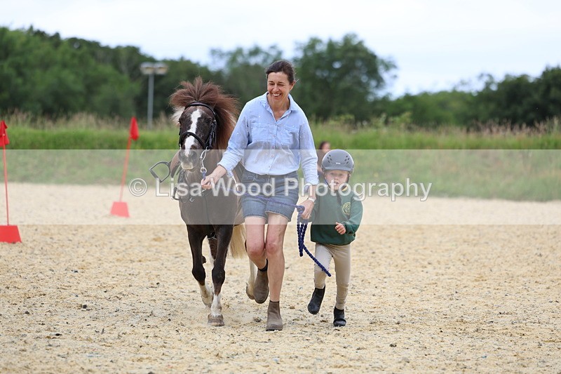 3E7A9552 - Walk trot run