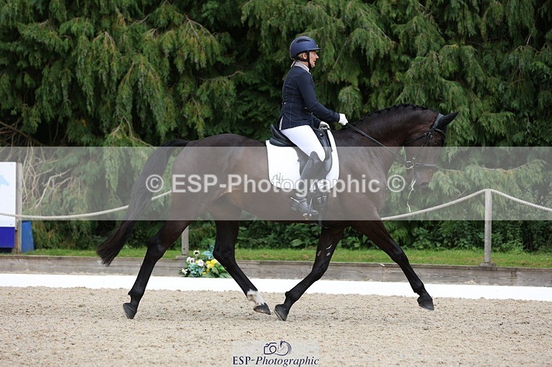 230812-152354-05127 - Cls 5 Novice Bronze 15.00 to End