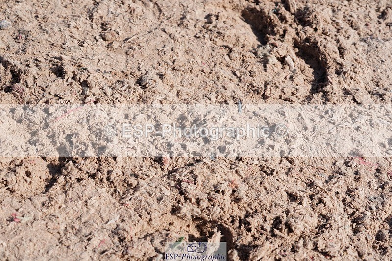 250427-095538-15415 - Cls 16 - 1 Star Bronze Tour