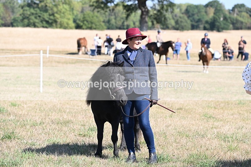 WJ6_4300 - Class 16 Condition & Turn Out