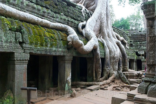  - Cambodia