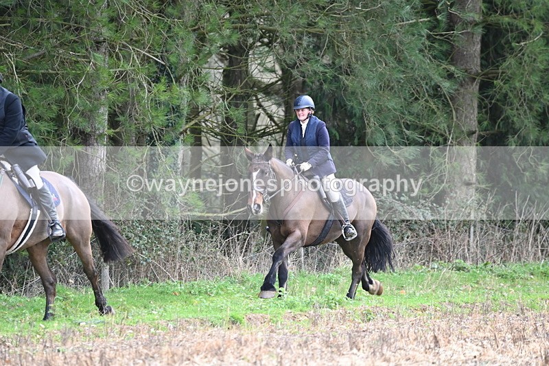 WJ6_9726 - Line Four