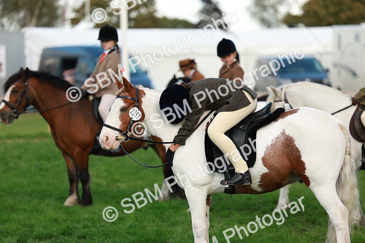 SBM_28822 - S7 - Novice & Newcomer Ridden Pony