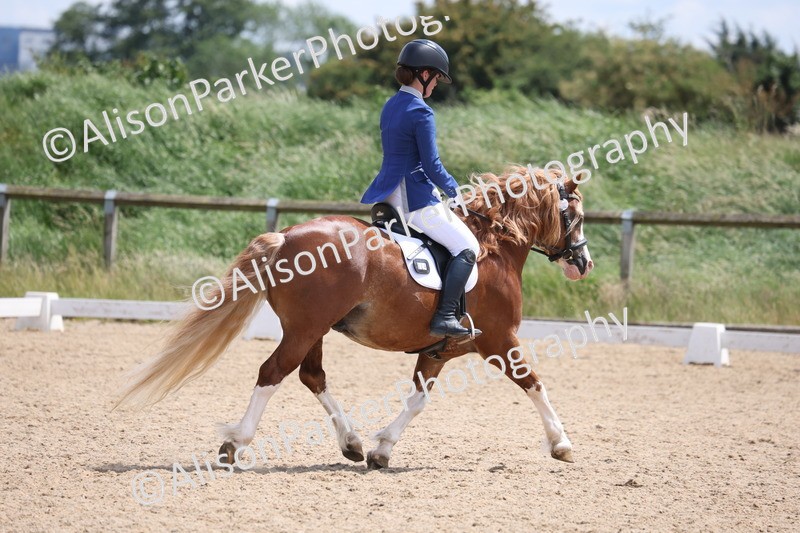 20250614-0960 - Class 5 - Novice 3