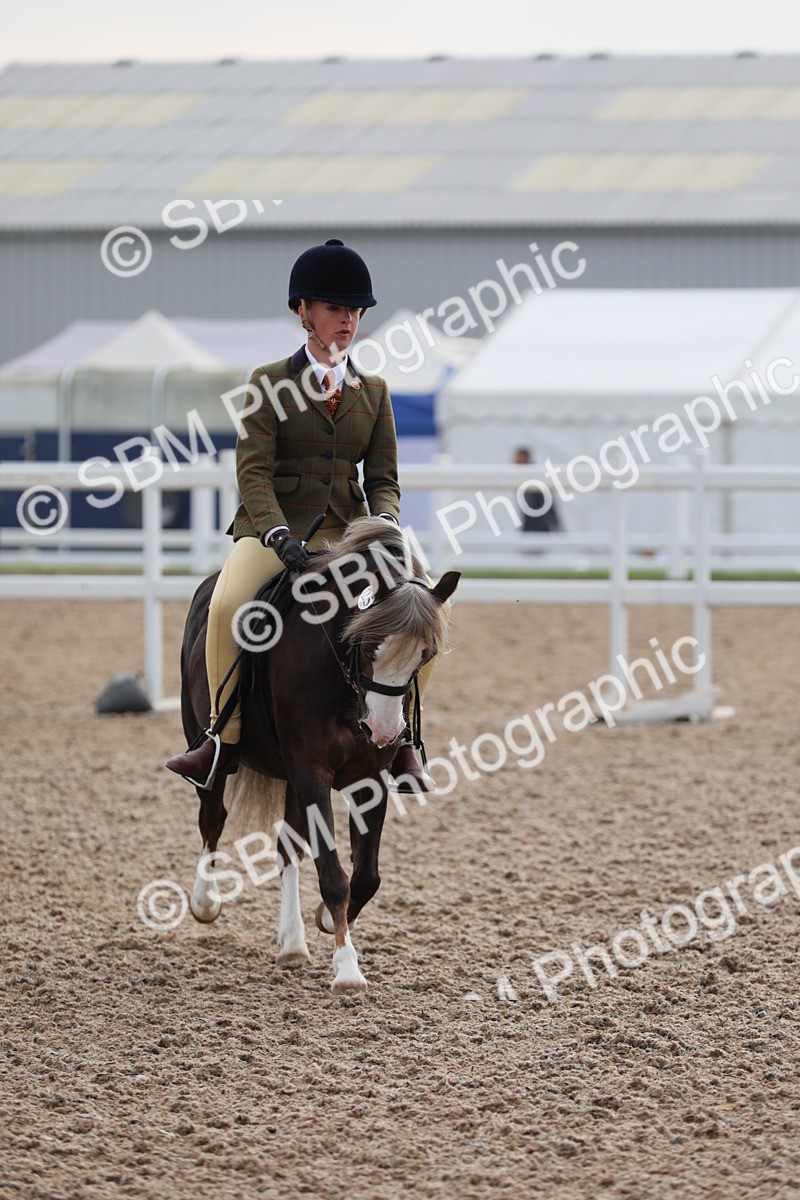 SBM_09634 - Class 301 Ridden M&M -Small Breeds