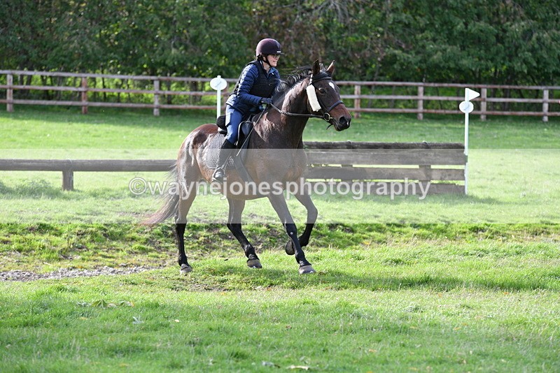 WJ5_1194 - Time 14:29 to 15:31