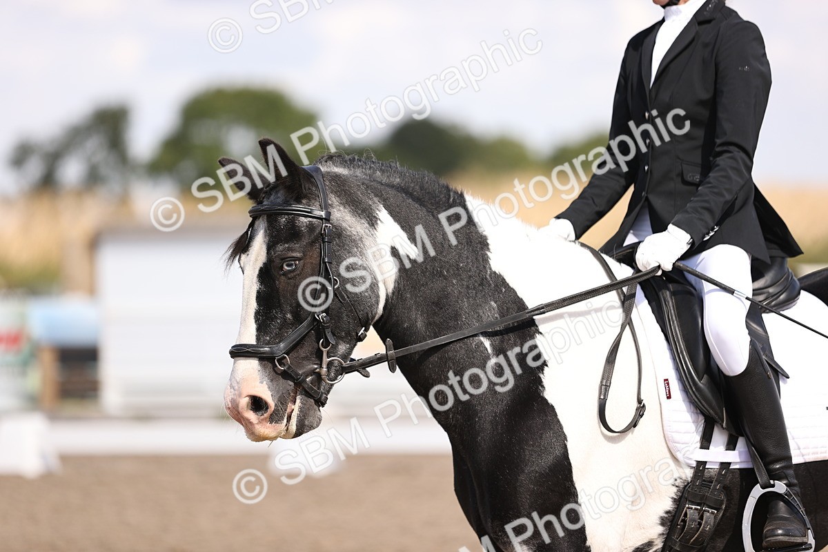 SBM_03616 - CLass 35 Intro 3