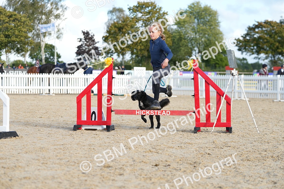 SBM_29118 - J43 - Horse & Hound Open 50cm