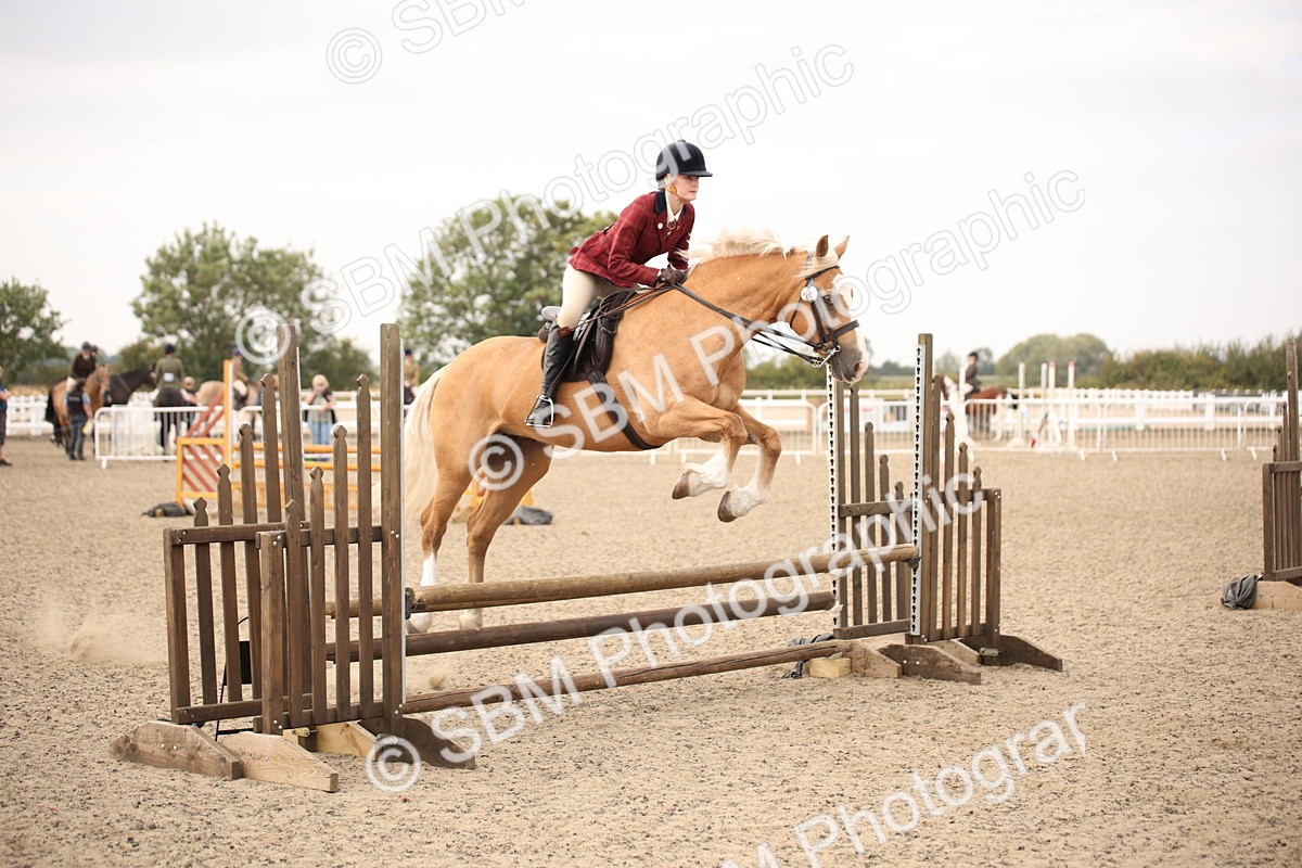 SBM_16201 - Class 409a - Working Veteran 80cm (15-19)