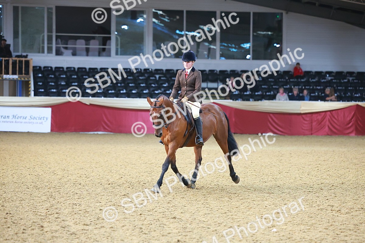 SBM_07667 - Class 101 - HOYS Veteran Qualifier - Ridden Diamond