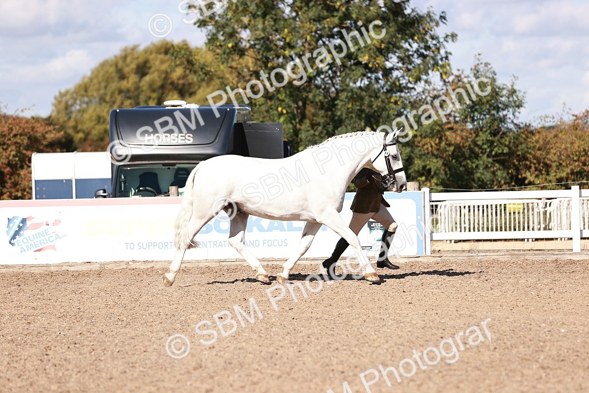 SBM_13283 - class 406 - IH Hunter