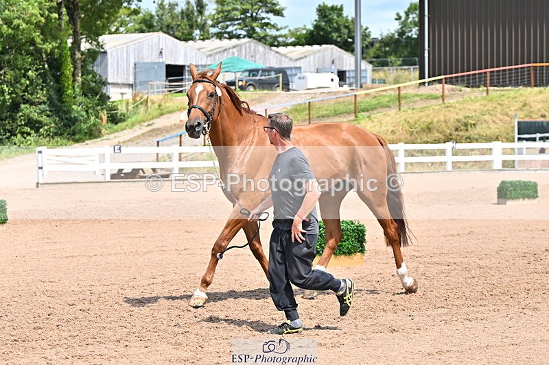 240718A-105318-01832 - Trot Up 1pm to 2pm