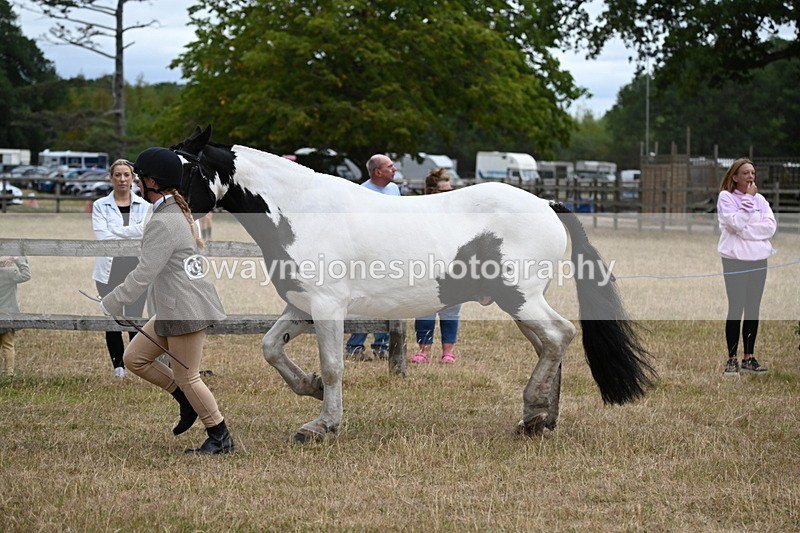 WJ6_8388 - Class 10 Coloured in Hand