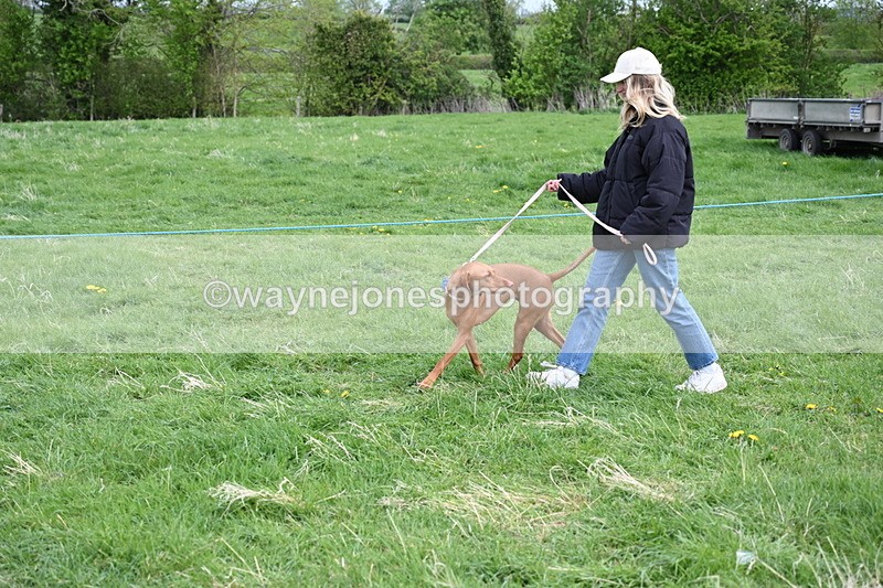 WJ6_8111 - Class 2 Best Pedigree