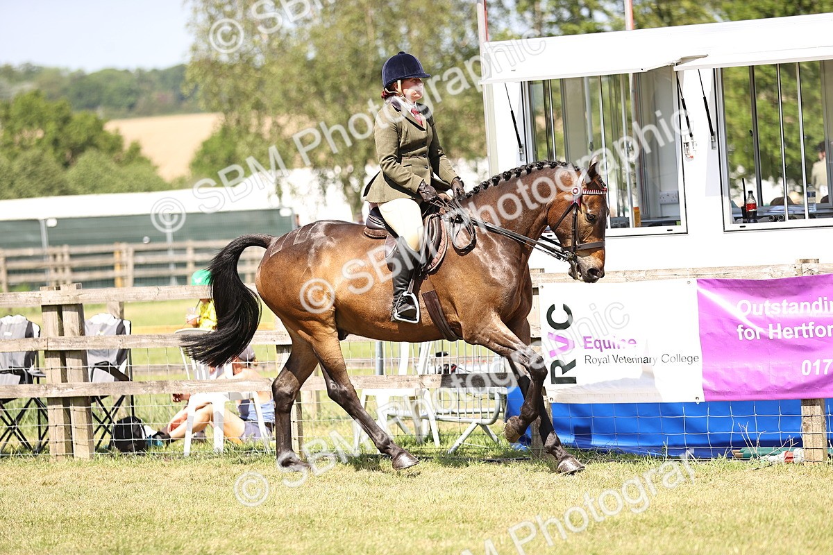 SBM_18001 - Class 81-83 - TSR Ridden Amateur of the Year - Horses