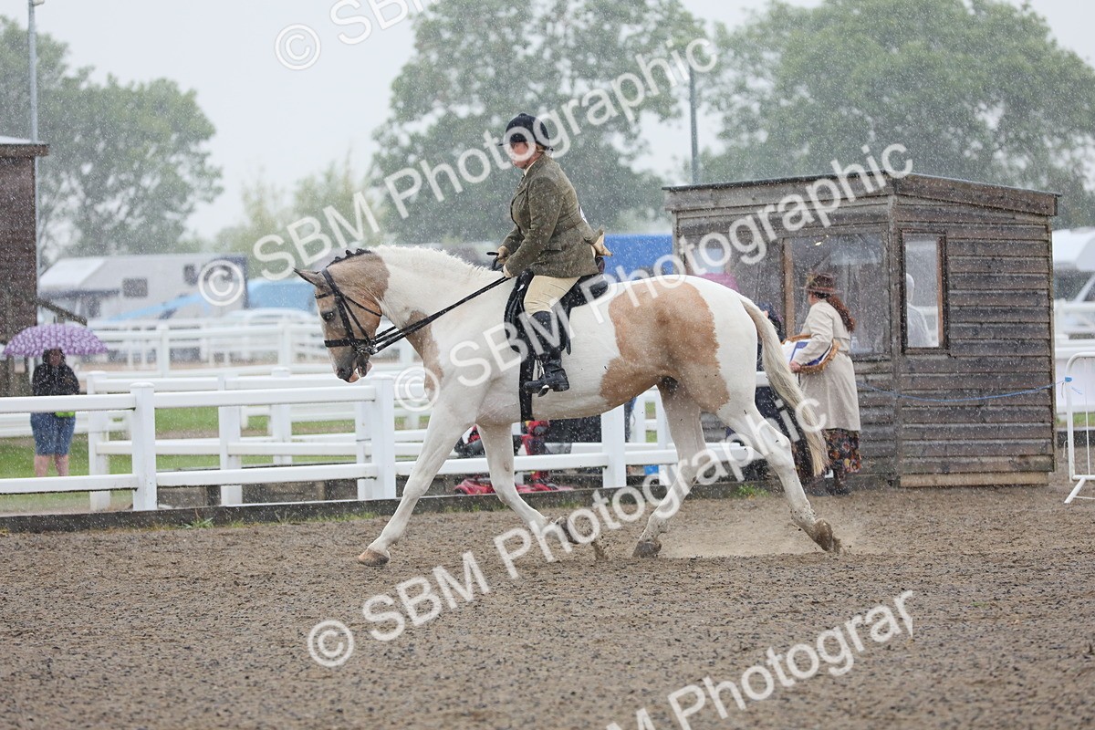 SBM_20350 - Class 803 - Ridden Combination 65+