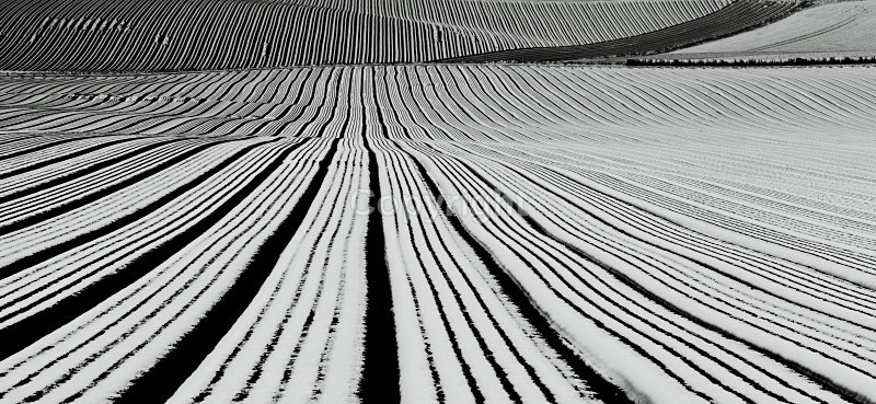 Late snow - Landscapes